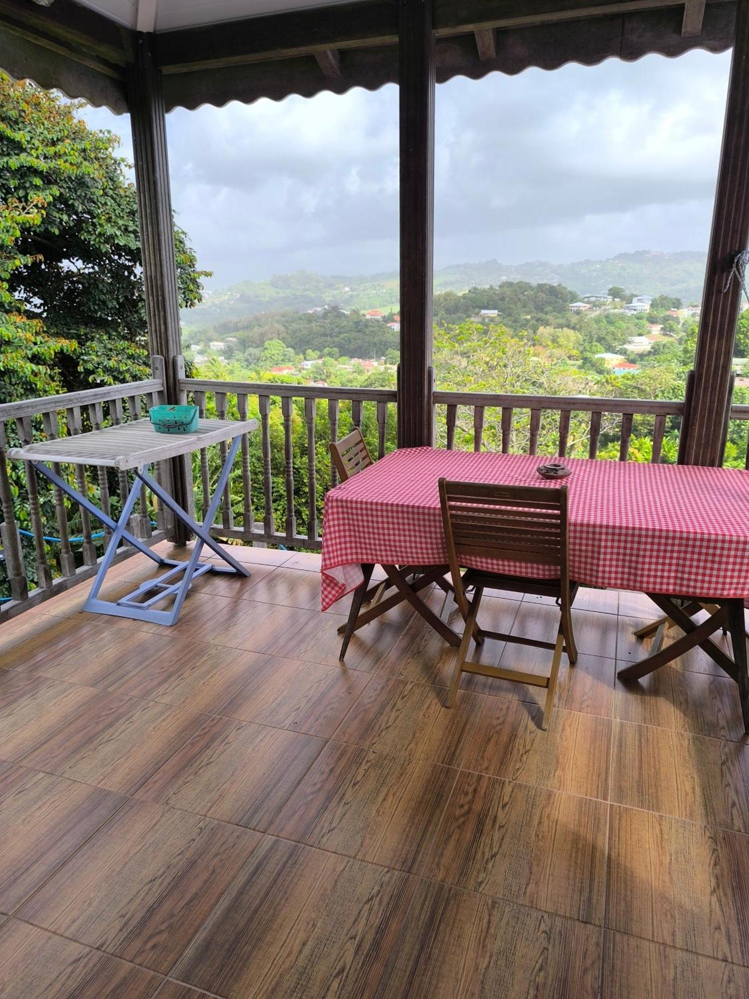 Studio Brazilia Bois Et Nature, Terrasse Avec Vue Sur Les Pitons Льо Робер Екстериор снимка