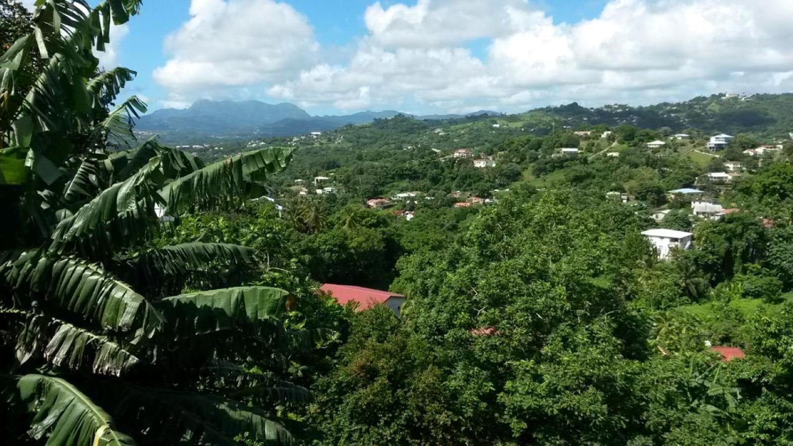 Studio Brazilia Bois Et Nature, Terrasse Avec Vue Sur Les Pitons Льо Робер Екстериор снимка